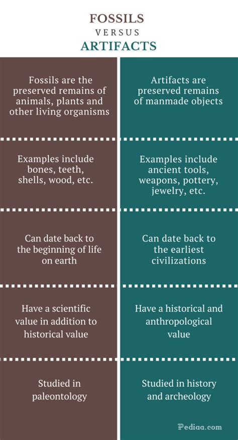 difference between fossils and artifacts